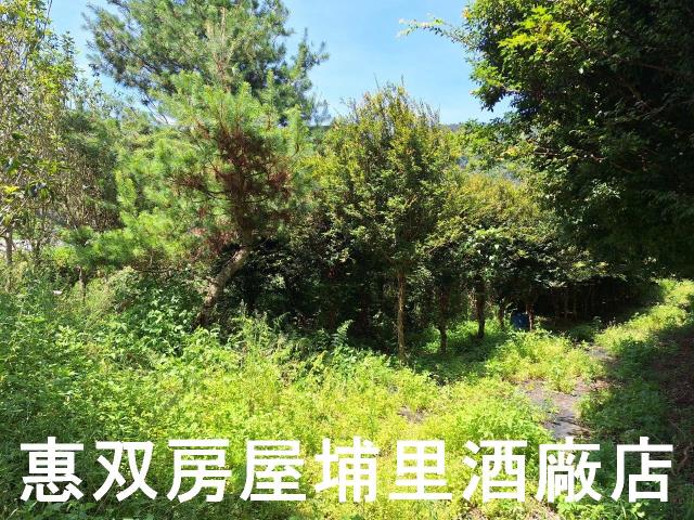 埔里農地-0