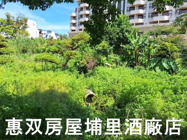 埔里農地-1