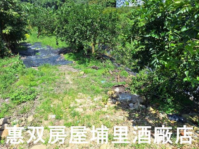 埔里農地-2