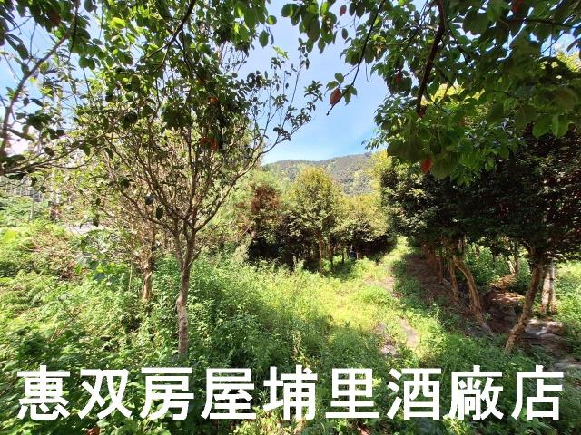 埔里農地-3