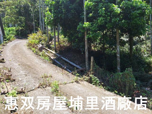 魚池農地-1