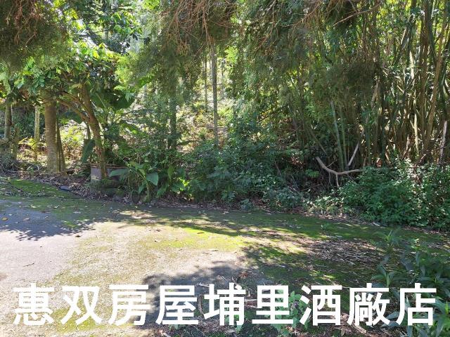 魚池農地-2