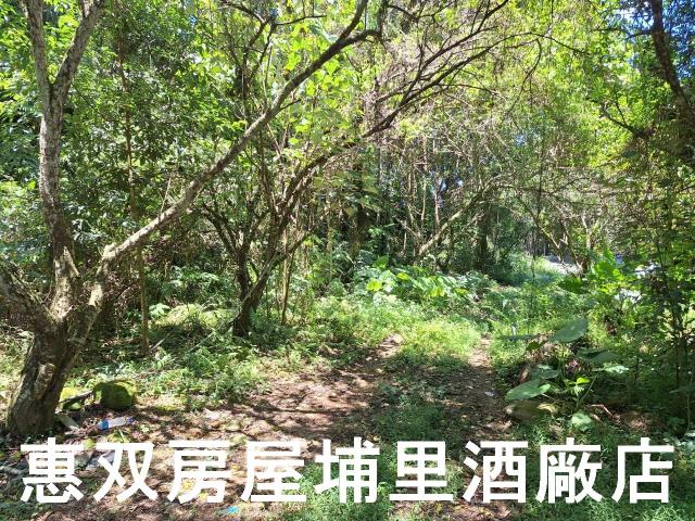 魚池農地-3