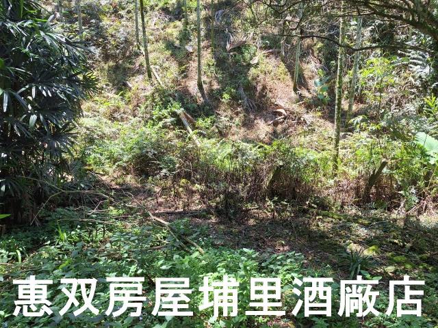 魚池農地-4