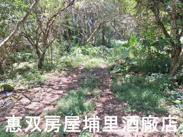 魚池農地-5