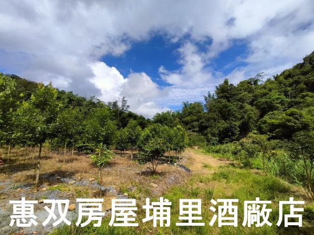 埔里農地-7