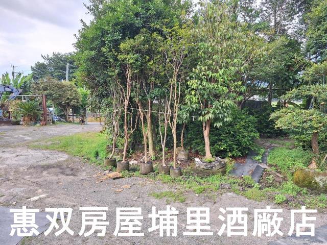 埔里農地-0