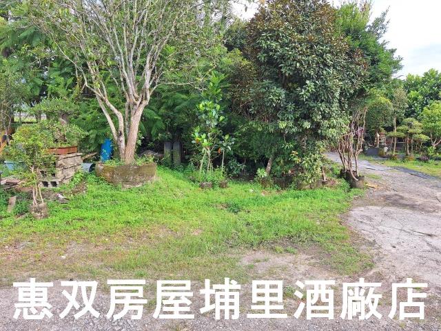 埔里農地-5