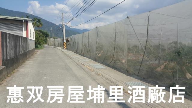 埔里農地-0