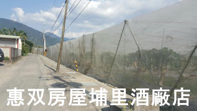 埔里農地-3