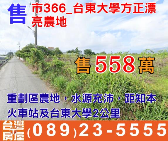 台東台東市農地-1