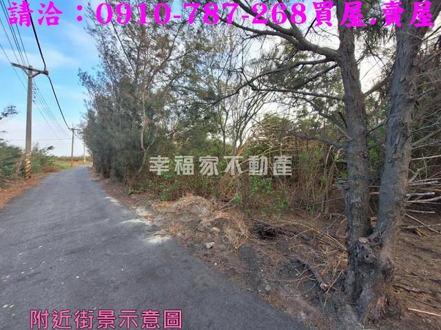 雲林台西農地-8