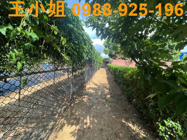 桃園農地-2