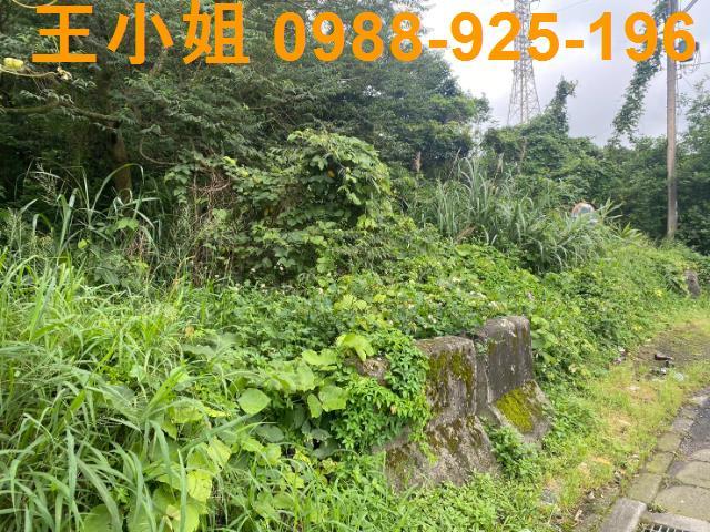 桃園平鎮農地-1