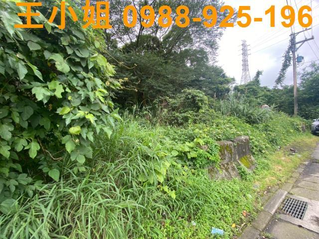 桃園平鎮農地-2