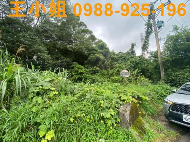 桃園平鎮農地-3