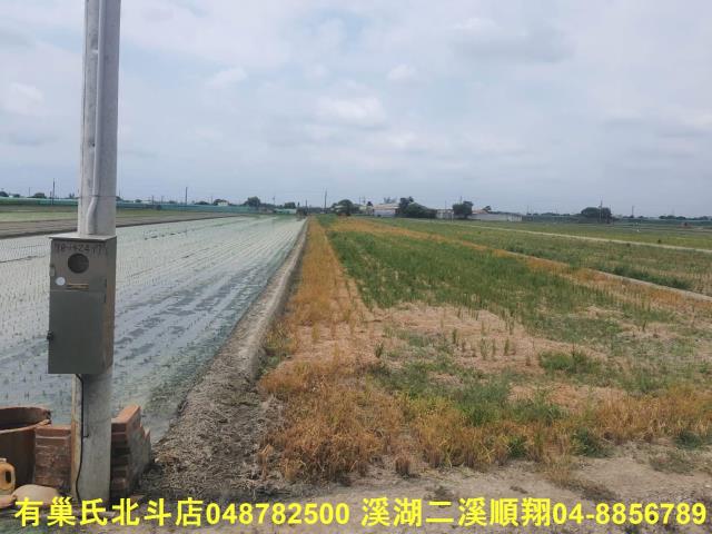 二崙農地-1