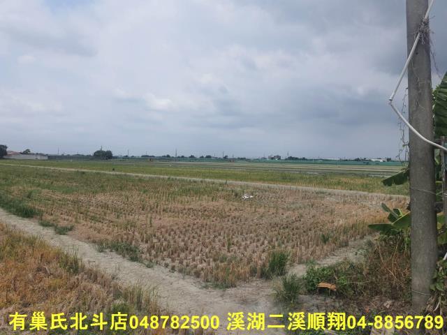二崙農地-4