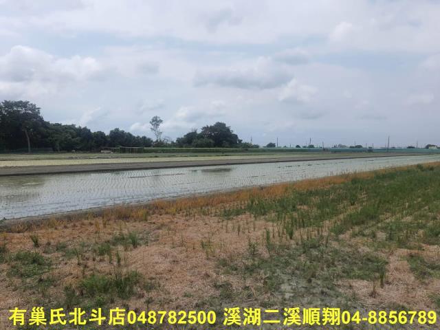 二崙農地-5