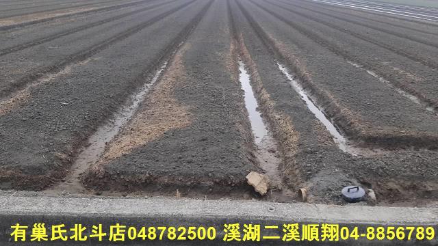 二崙農地-1