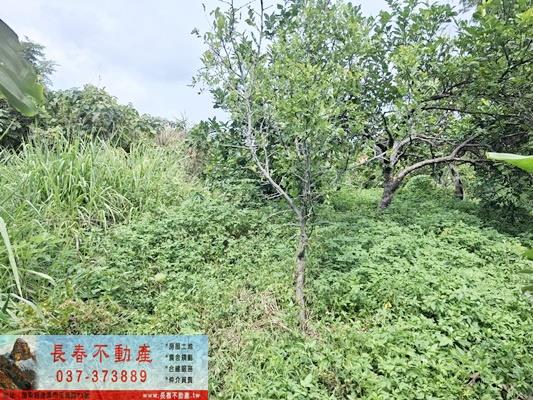 苗栗市農地-1