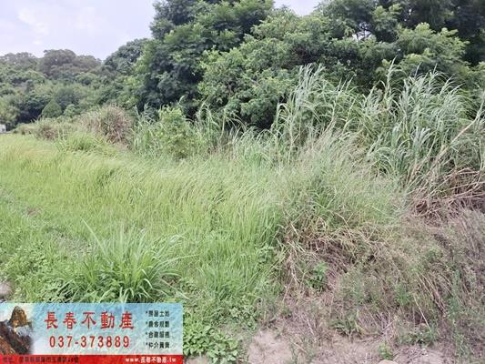 苗栗市農地-2