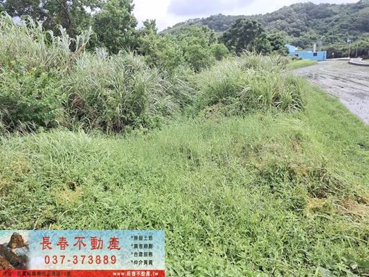 苗栗市農地-8