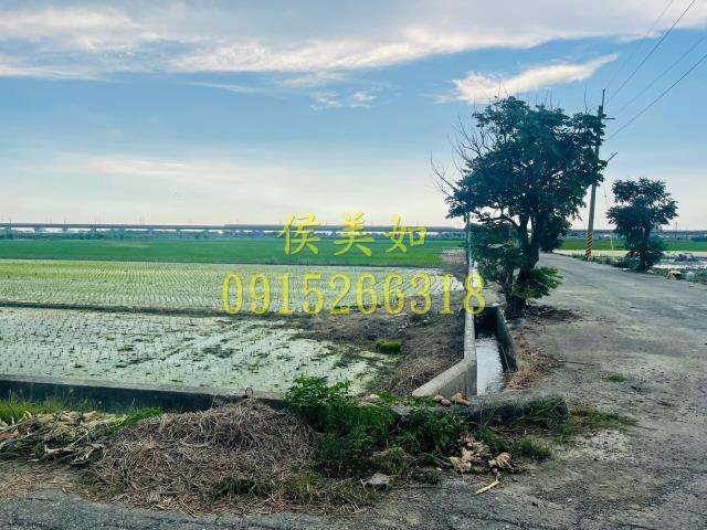 新港農地-2