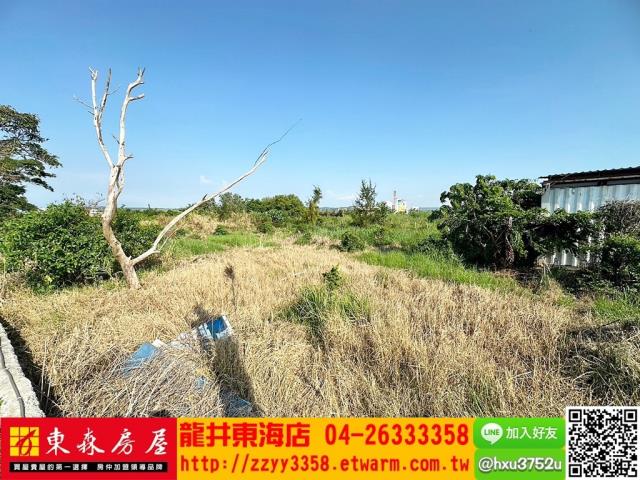 台中農地-1