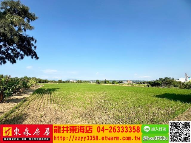 台中農地-1