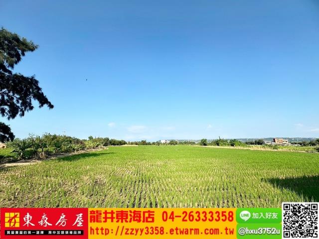 台中農地-2