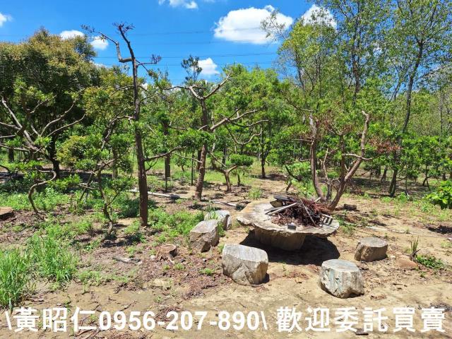 台南山上農地-10