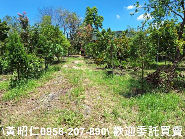 台南山上農地-11