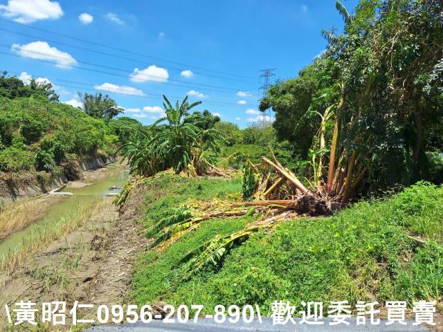台南山上農地-0