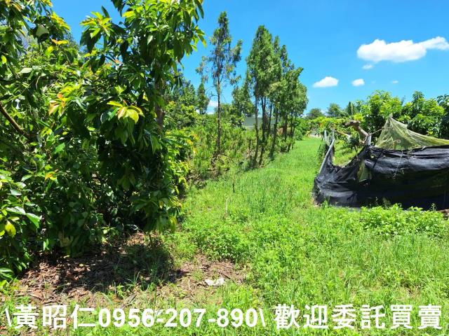 台南山上農地-1
