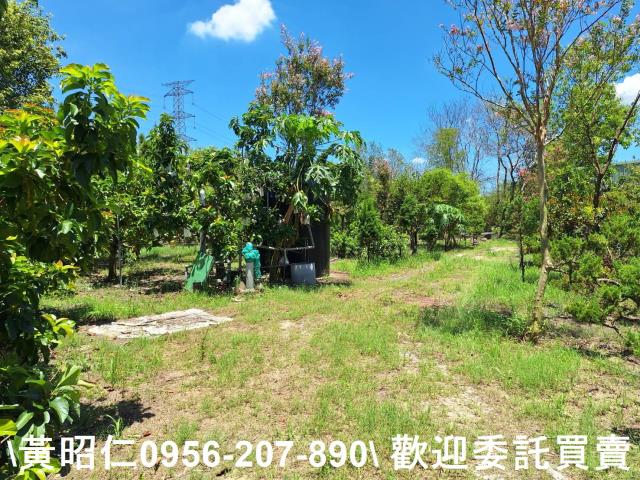 台南山上農地-3
