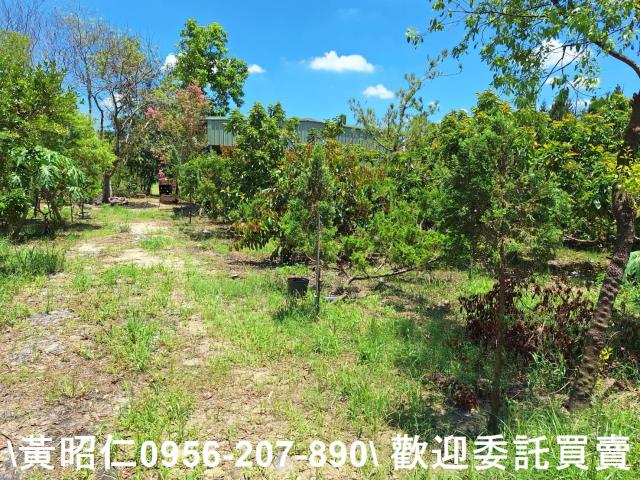 台南山上農地-4