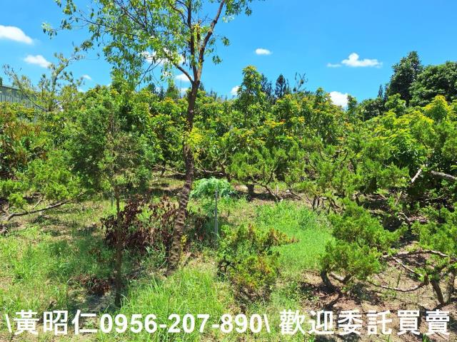 台南山上農地-5