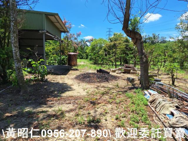台南山上農地-8
