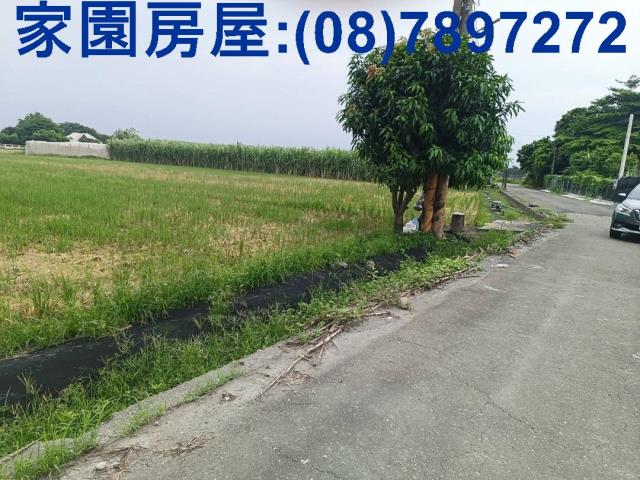 屏東萬丹農地-4