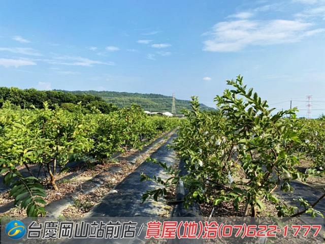 高雄農地-9