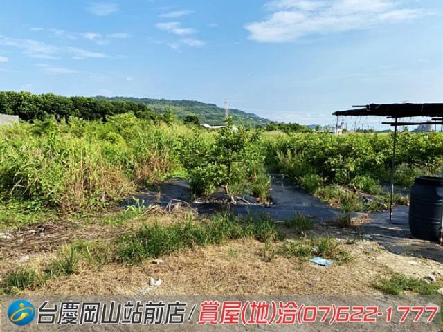 高雄農地-10
