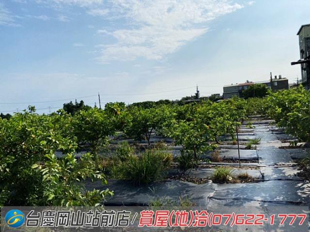 高雄農地-2
