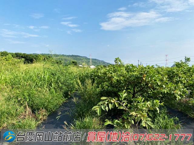 高雄農地-8