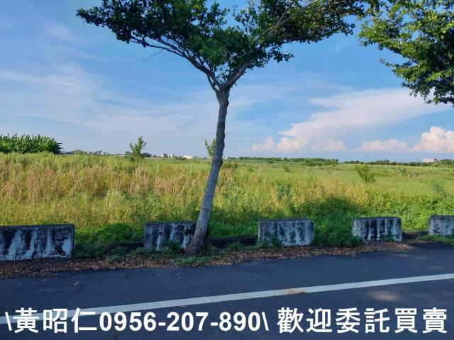 台南七股農地-2