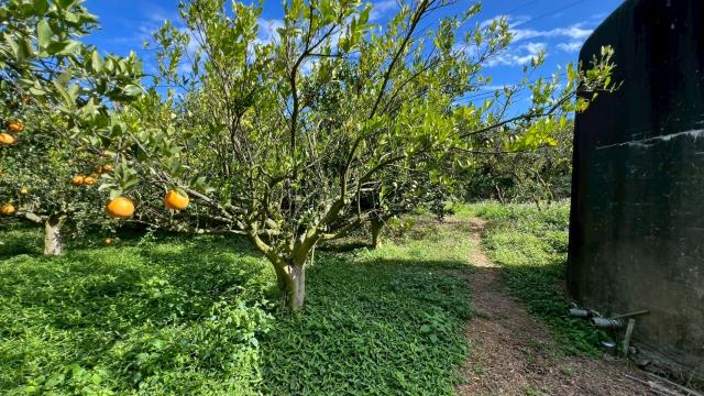 新竹峨眉農地-13