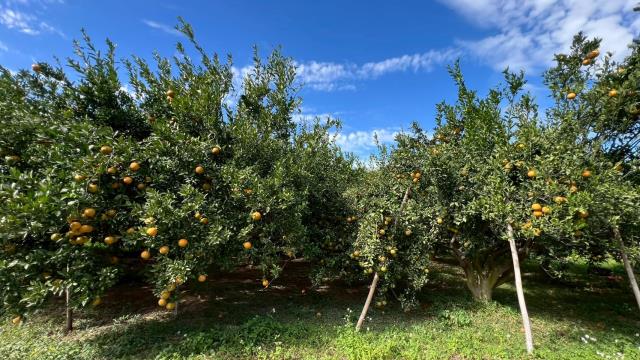 關西臨路資材地