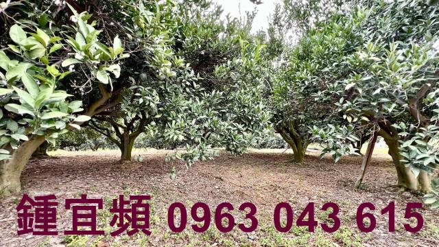 新竹峨眉農地-8