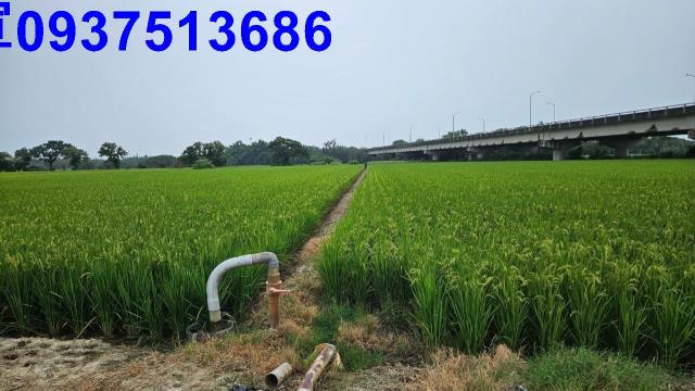 嘉義六腳農地-4