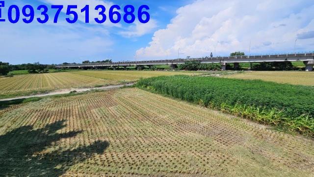 嘉義六腳農地-5